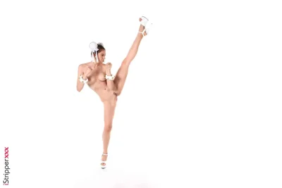 Ayako fuji istripper