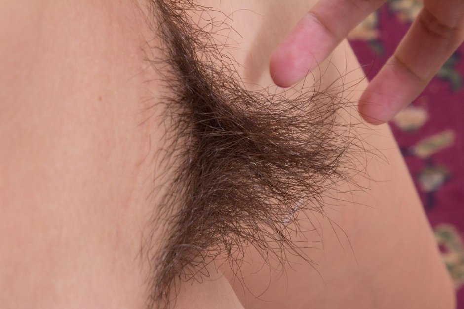 Волосы на лобке у девушек