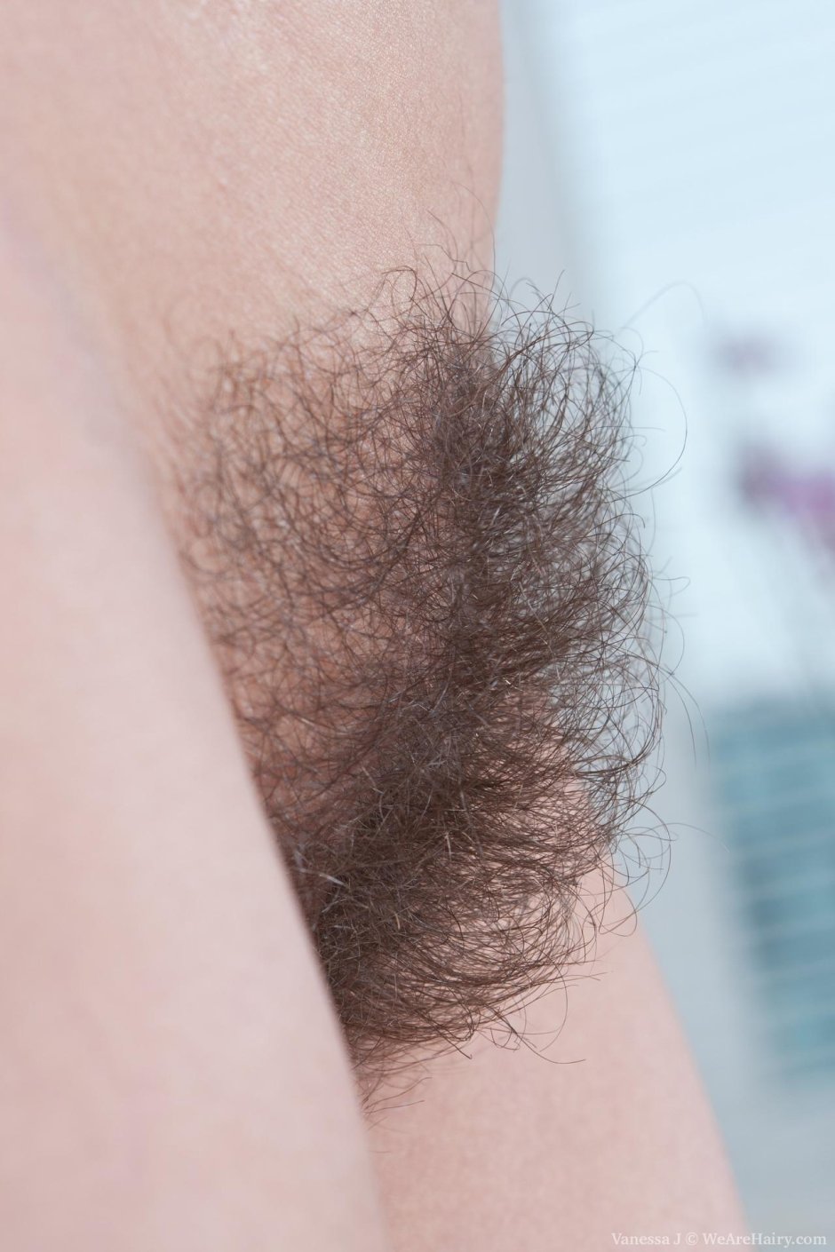 Густые волосы на женском лобке