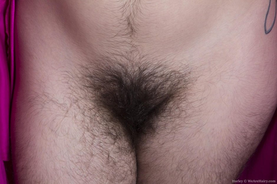Волосатые женские лобки
