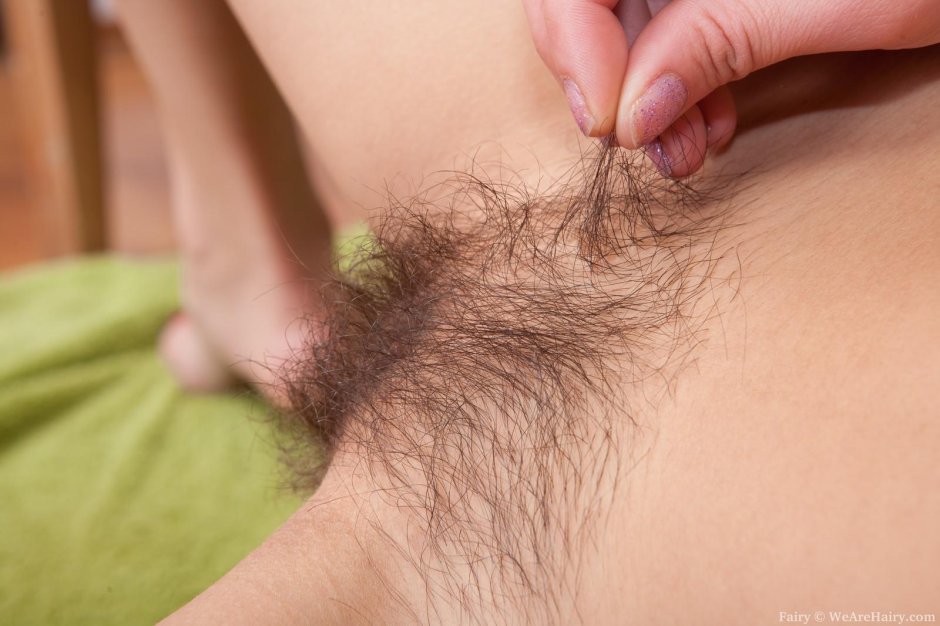 Волосы на лобке у девушек