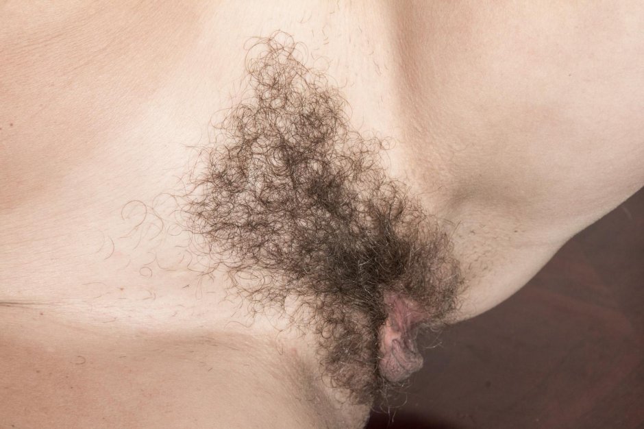 Вьющиеся волосы на лобке