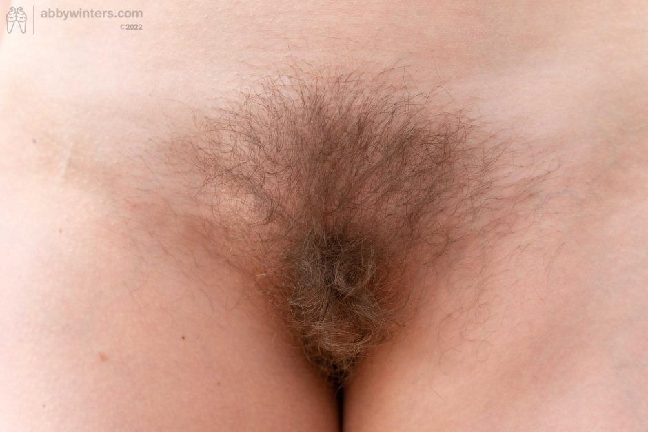 Волос на лобке