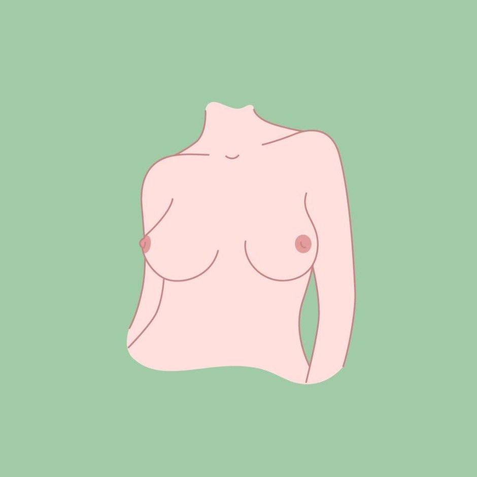 Грудь форма