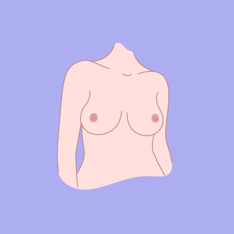 Типы женской груди голые