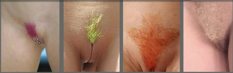 Разноцветные лобковые волосы