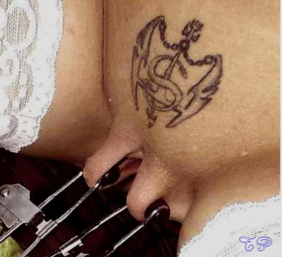 Нейлоновые струны dcv100nb