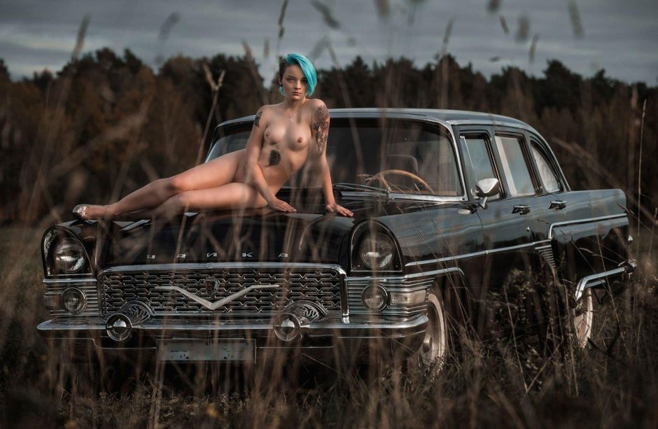 Автомобиль чайка