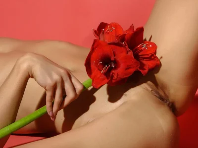 Гиппеаструм ред лион