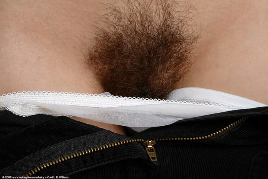 Длинные лобковые волосы