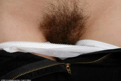 Длинные лобковые волосы