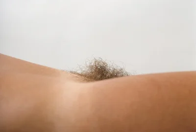 Лобковые волосы