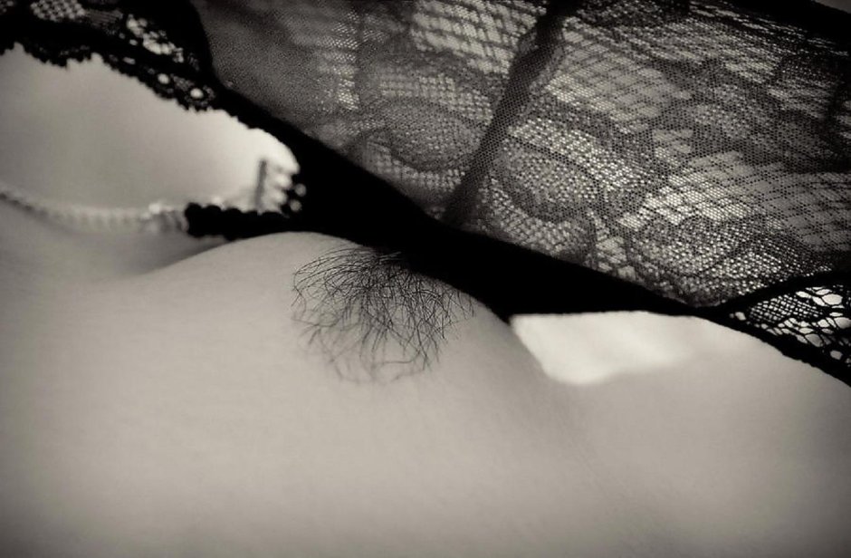 Лобок эротика