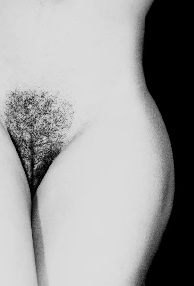 Женские лобки