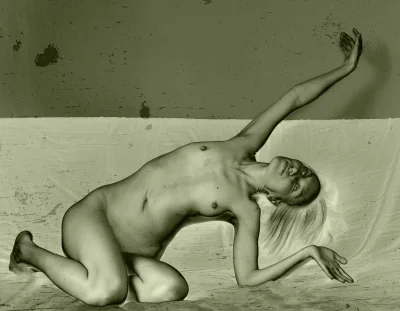 Обнаженная натура