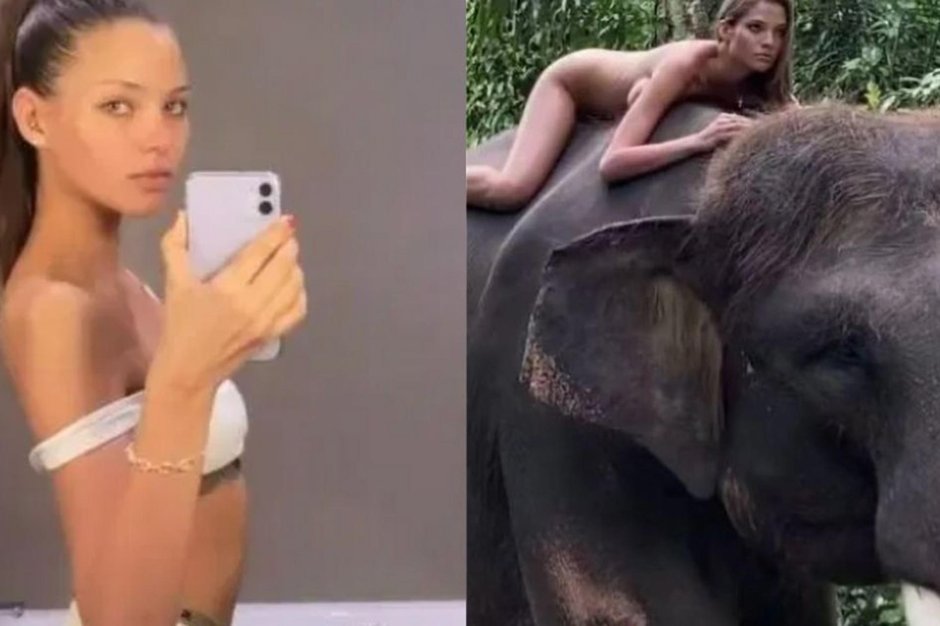 Алеся кафельникова на слоне