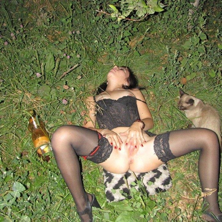 Домашние кошки