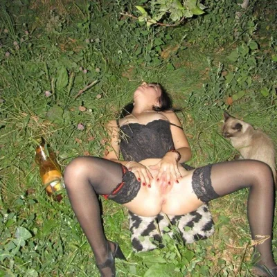 Домашние кошки