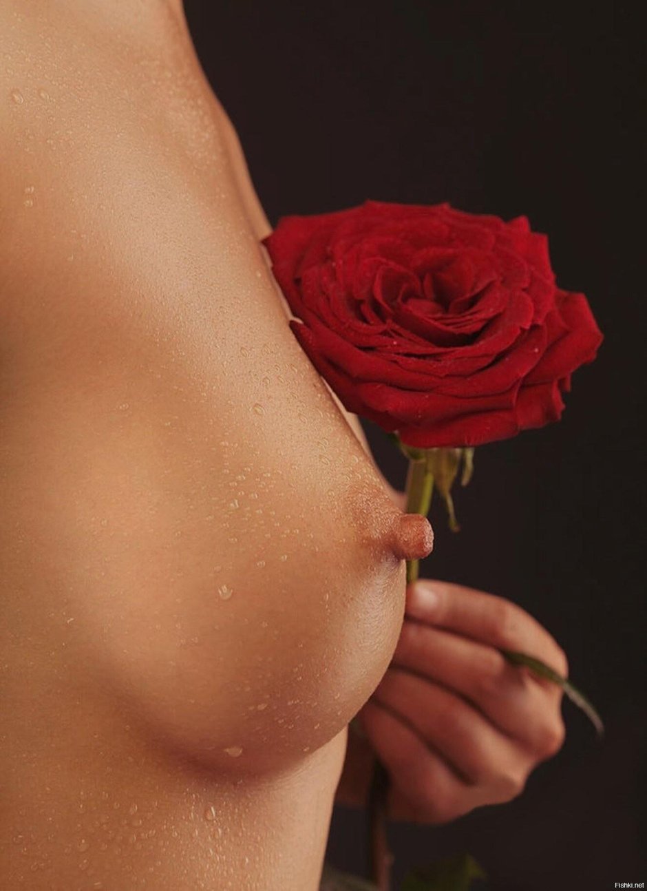 Красная роза