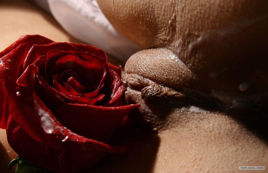 Красивые влагалища розочкой