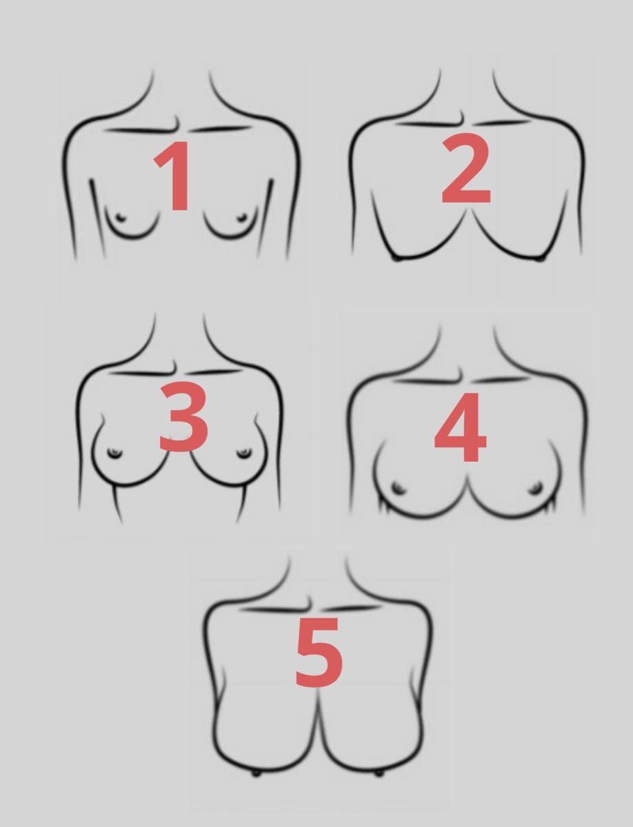 Форма грудей