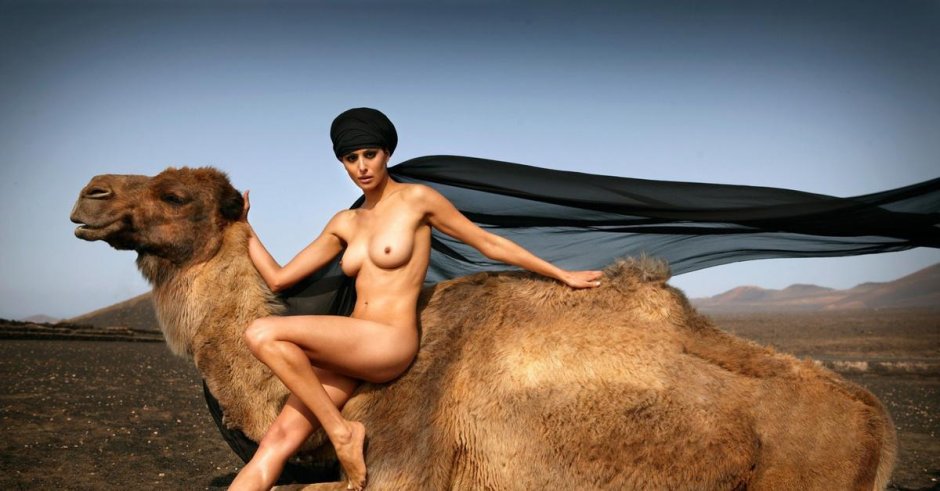 Девушка на верблюде
