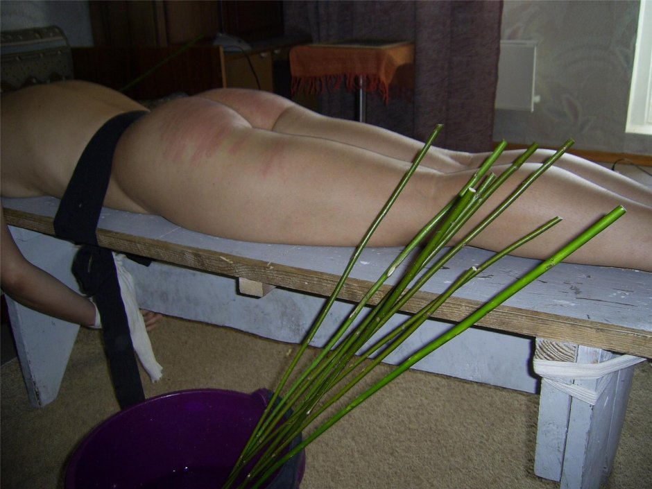 Ивовые розги