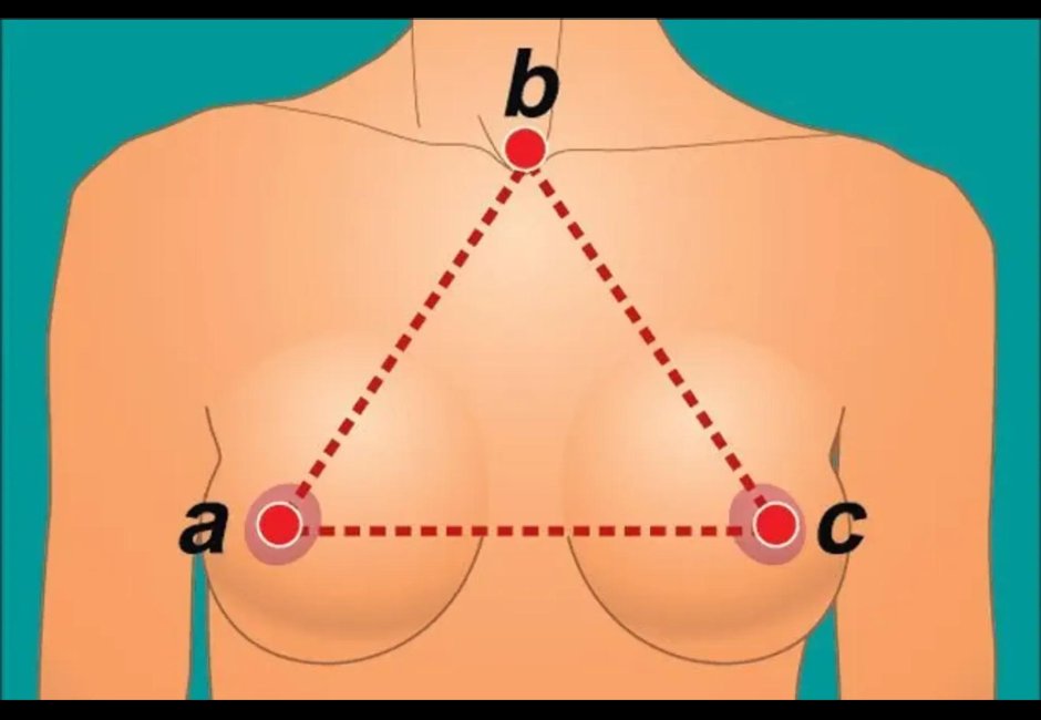 Идеальная женская грудь