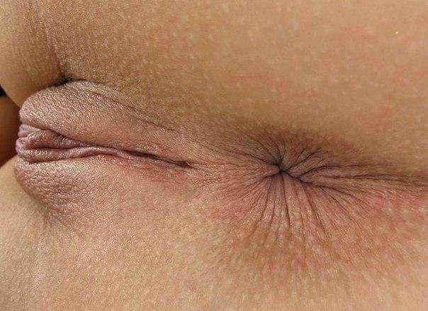 Женские анусы крупным планом