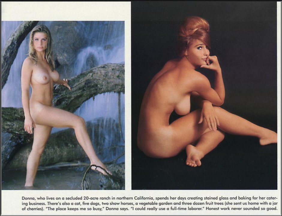 Донна мишель плэйбой 1963