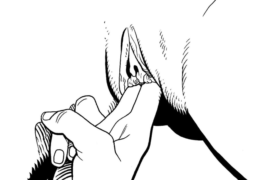 Брюс морган порнокомикчы