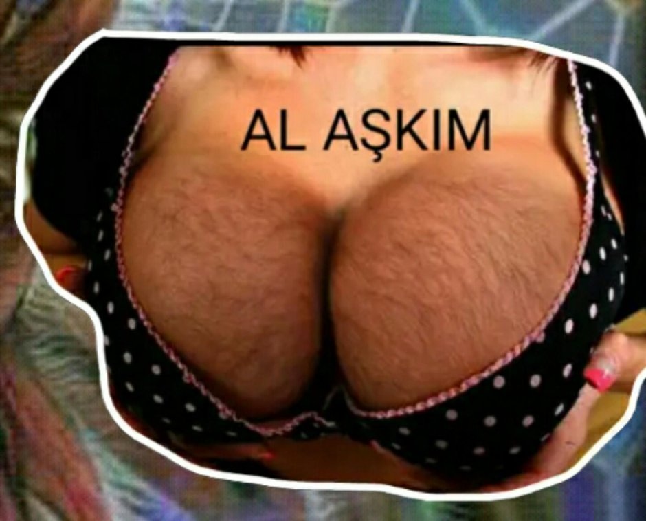 Волосатая женская грудь