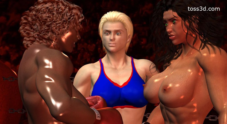 Эротические 3d флеш игры catfight