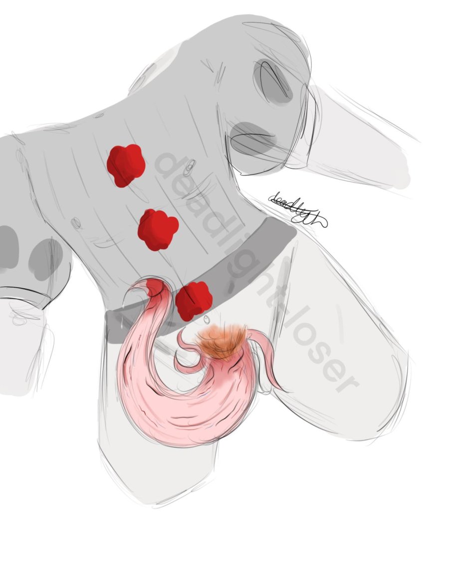 Редхарт млп