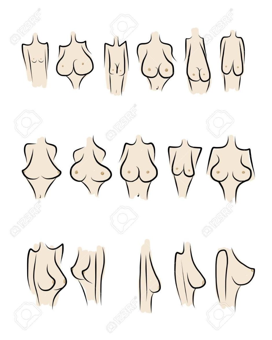 Грудь формы