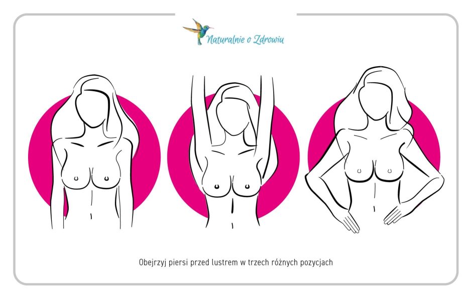 Рисунок женской груди