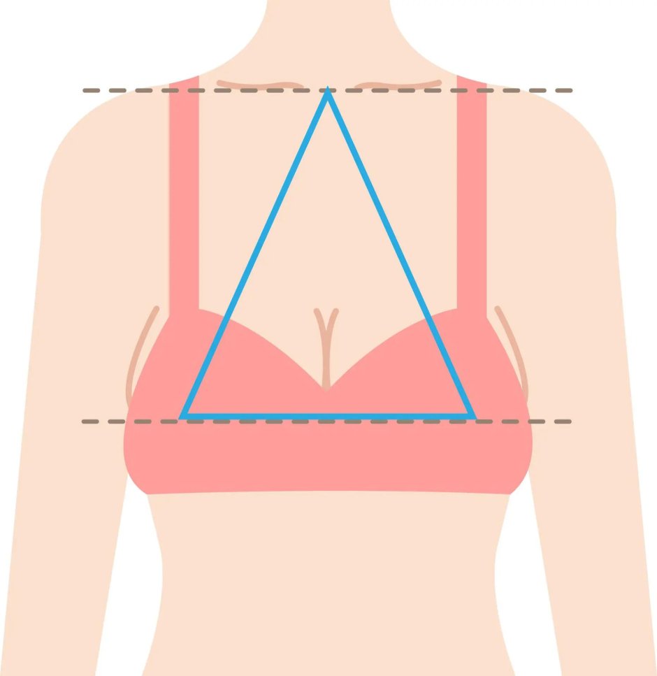 Женская груди
