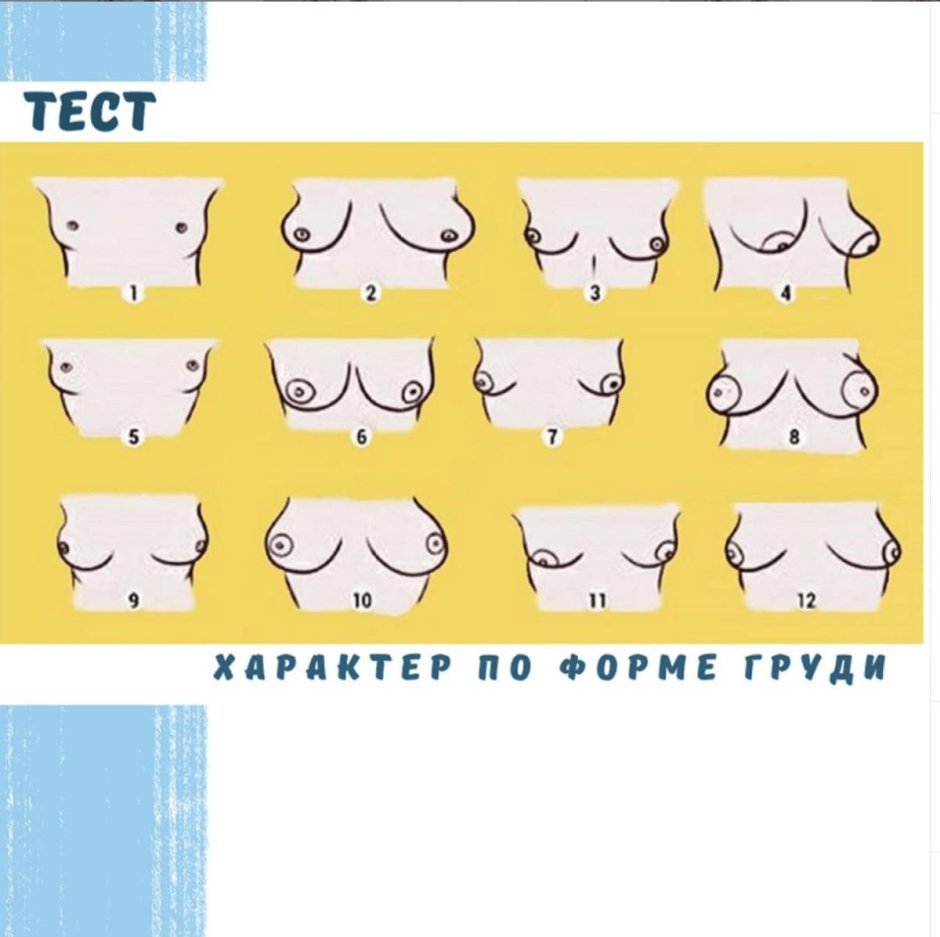 Форма женской груди