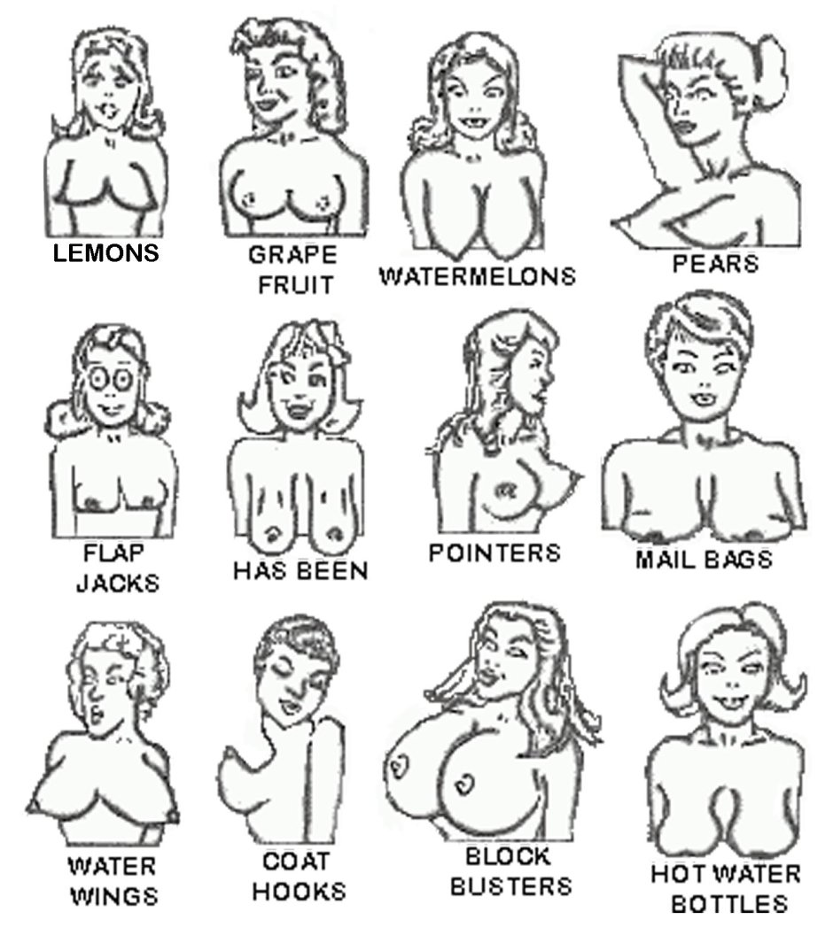 Классификация женских сисек