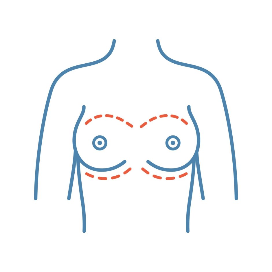 Рисунки груди