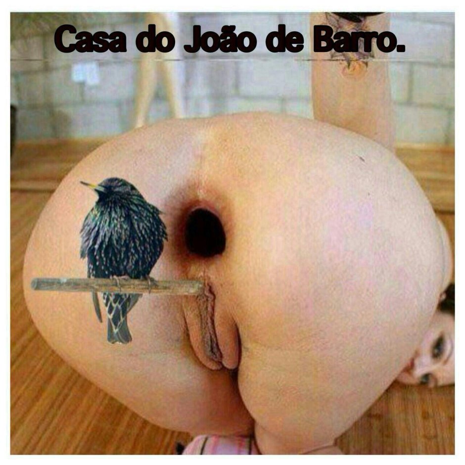 Шпак скворец