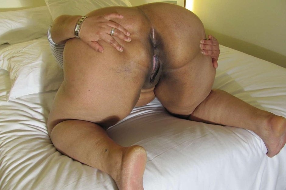 Женская жопа порно