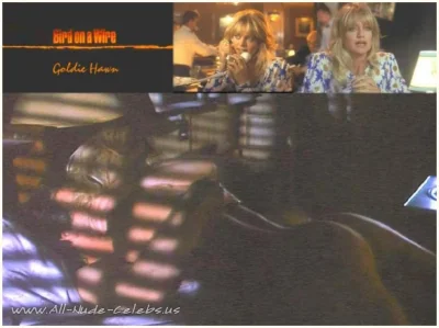 Голди хоун птичка на проводе