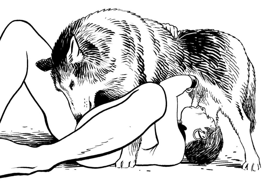 Рисунки зоо брюс морган