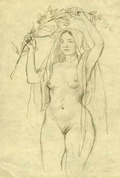 Иллюстрация голых женщин