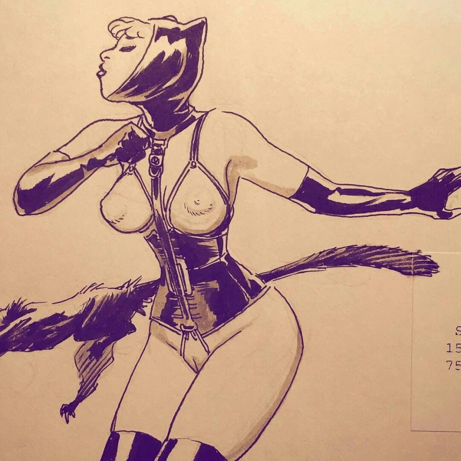 Carlos braga catwoman