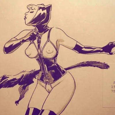 Carlos braga catwoman