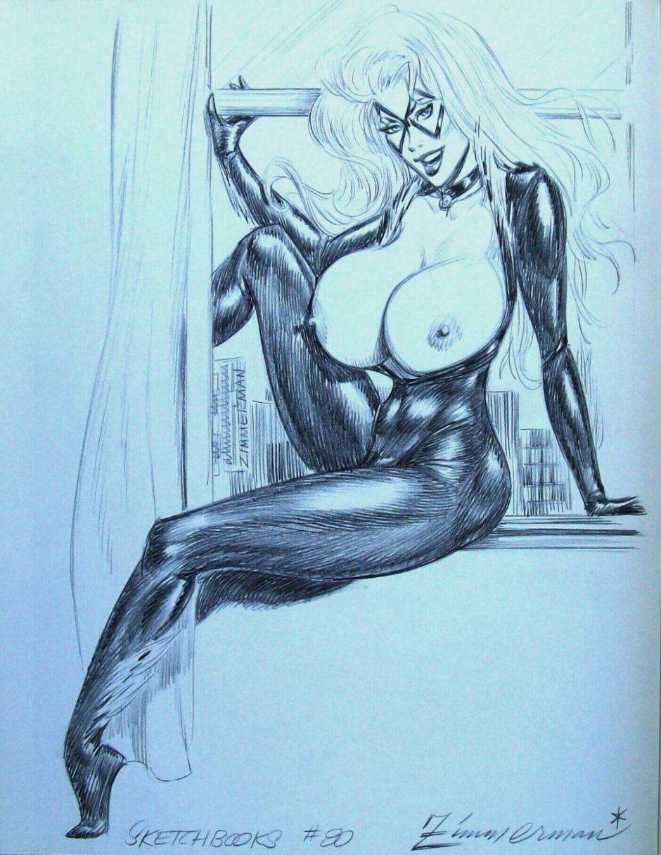 Julius zimmermann чёрная кошка