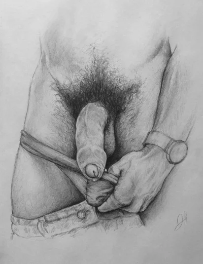 Член рисунок карандашом