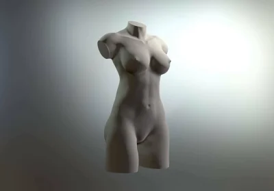 Торс женский